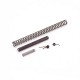 Eemann Tech Competition Springs Kit for CZ